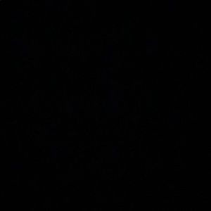 Meet your Posher, Layla